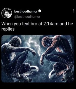 When you text bro at 2:14am and he replies