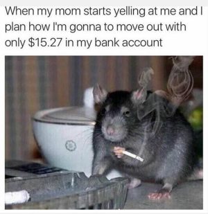 When my mom starts yelling at me and I plan how I'm gonna to move out with only $15.27 in my bank account